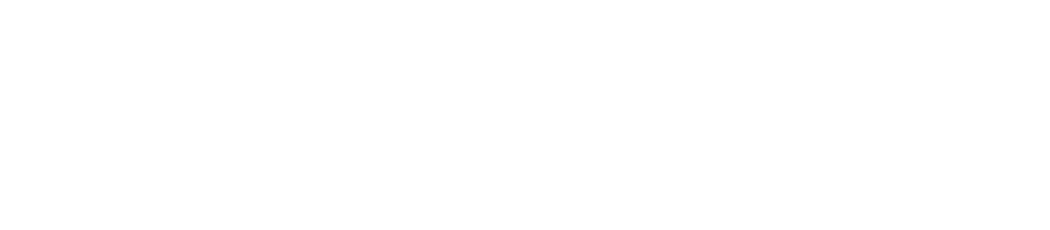 Black Flag Agency